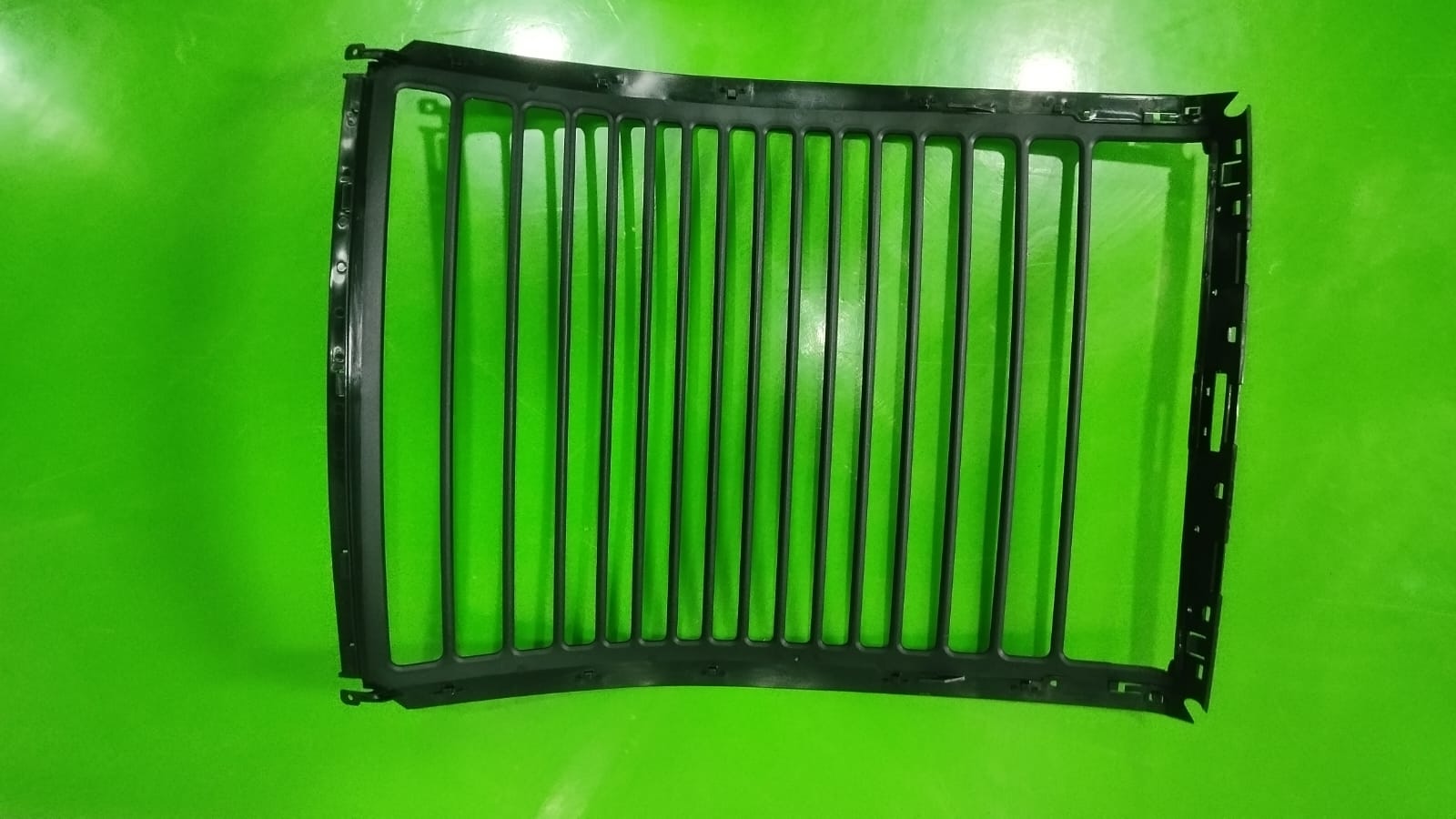 Shell Membrane